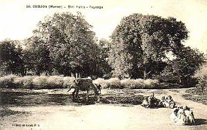 BIVEN Georges - 243- Oujda